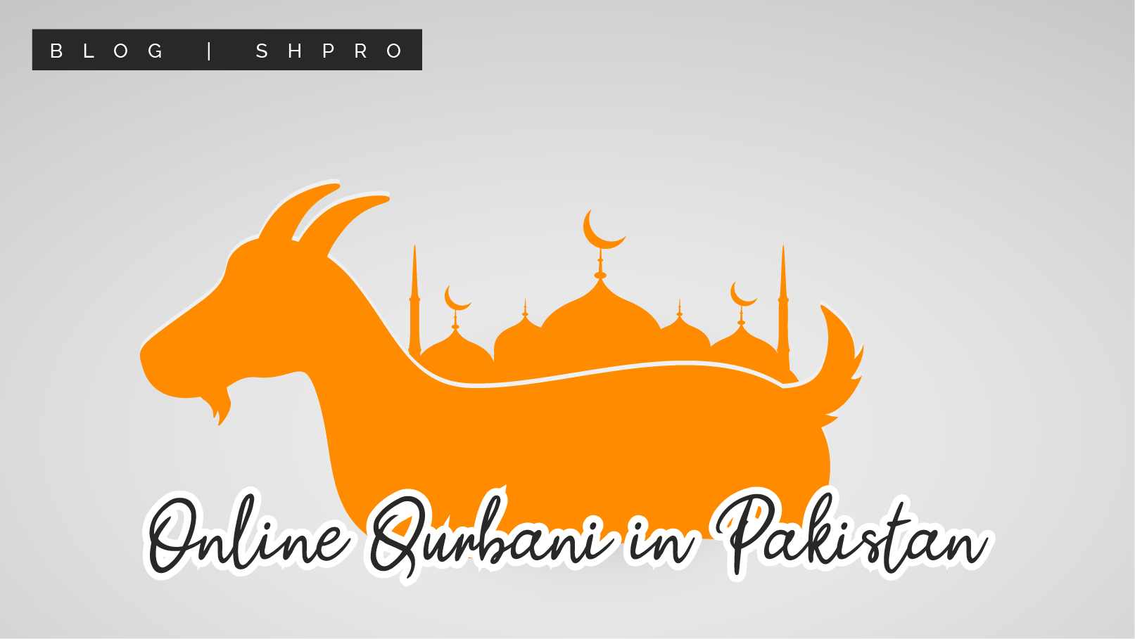 Opt For Online Qurbani This Year
