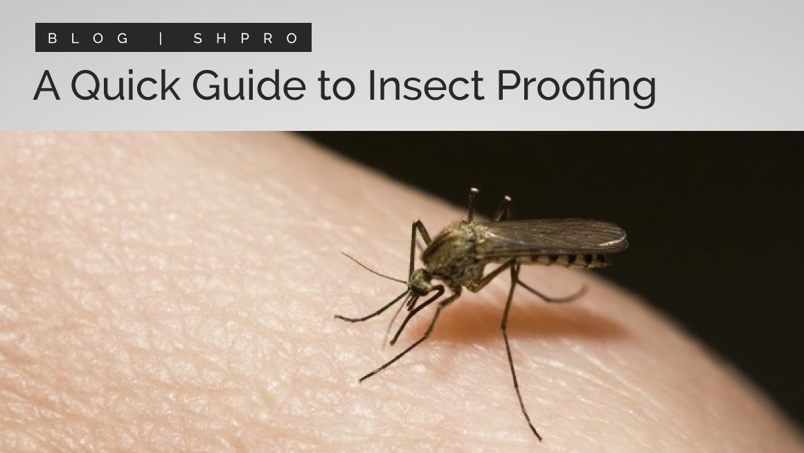 A quick guide to insect proofing